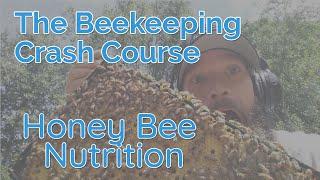 Honey Bee Nutrition - Biology Part 5 - Beekeeping Crash Course