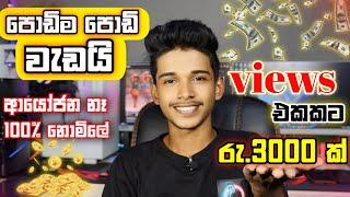 How to Earn E-Money For Sinhala.Study pool money earning.Online Best money earning website.