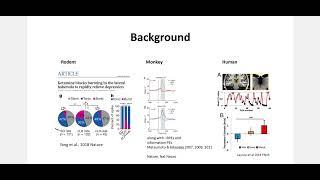 8-Minute Neuroscience: Ketamine effect on peripheral pain during Pavlovian learning