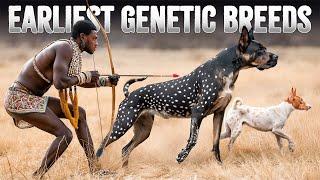 The 10 "Major Ancestral" Dog Breeds