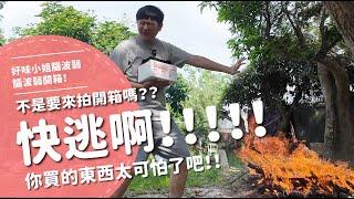 快逃啊！！！！！不是要來拍開箱嗎？？你買的東西太可怕了吧！！【腦波弱開箱】EP149