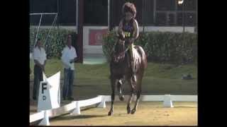 Bent Jensen Dressage Under the Stars 2012 finale