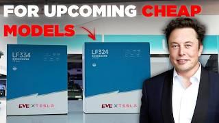 Tesla's Genius Plan To Destroy Chinese EVs With Tesla's Cheapest Battery Ever