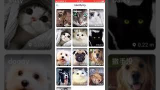 Nearby Pets Guide v0.0.1