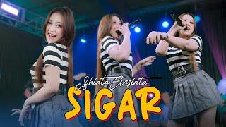 SIGAR - SHINTA ARSINTA (Official Music Live) Kesan indah pertama kau datang seolah cinta