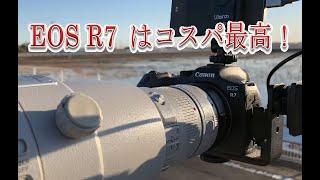 CANON　EOS  R7　のトラッキングは秀逸！