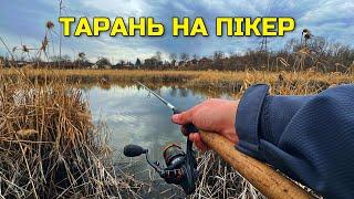 Ловля ПІКЕРОМ Тарань. Делікатна Риболовля