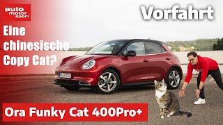 Ora Funky Cat (2023): Nur niedlich, schwerhörig & teuer? - Fahrbericht (Review) I auto motor sport