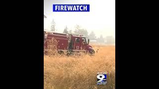 The Week in Review - KEZI 9 News This Morning - August 16, 2024