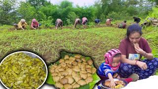 Millet Farming in The Nepali Village | Eating Puri Tarkari | Millet Planting in Rural Nepali Village