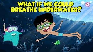 What If We Could Breathe Underwater? | Humans with Superpowers | Super Freedivers | Dr. Binocs Show