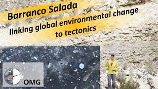 Linking global environmental change to plate tectonics