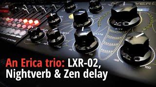 An Erica trio: LXR-02, Nightverb & Zen delay