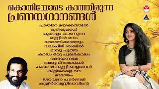 വീണ്ടും വീണ്ടും കേൾക്കാൻ തോന്നും ഗാനങ്ങൾ |Evergreen Malayalam album Songs | K J Yesudas Hits