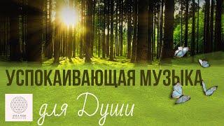 Успокаивающая музыка. Музыка для Души. 60 минут релакса!