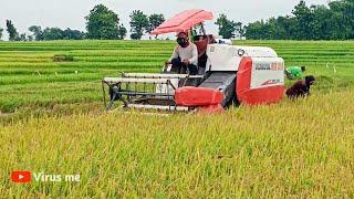 KOMBEN HARVESTER KUBOTA DC 35 MEMANEN PADI