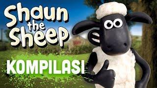 Shaun the Sheep - Season 4 Compilation (Episodes 11-15)