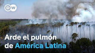 América Latina sufre sus peores incendios desde 2010