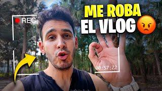 Harolin me Roba el Vlog  Guacamole SIN LIMÓN y con PIMIENTA! Sandra Cires Vlog