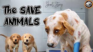 The Save Animal's || #shortstory || Movie || #animalslover || Adityadogpoint Ghazipur #petlover