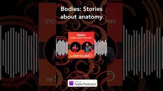 Bodies: Stories about anatomy | The Story Collider