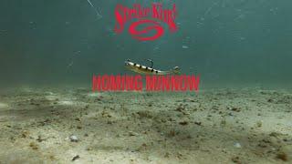 Strike King Homing Minnow [ICAST 2024]