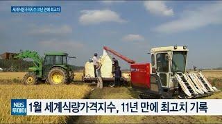 세계식량가격지수 11년만에 최고치···사료·가공식품산업 ‘휘청’
