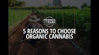 5 Reasons to Choose Organic Cannabis