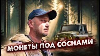 МОНЕТЫ ПОД СОСНАМИ: НАЙДЕНО БОЛЬШЕ, ЧЕМ ОЖИДАЛОСЬ!