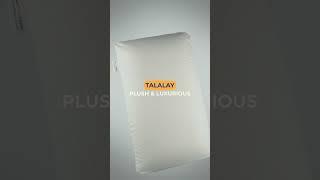 Iklan Produk Not Swiss Cheese Latex Pillow - Basic Product Marketing Video (60 seconds)