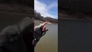 salamonie fishing