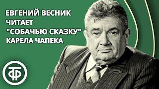 Карел Чапек. Собачья сказка. Читает Евгений Весник (1989)