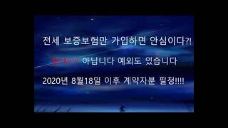 신축빌라 비상!!!보증보험1년마다 갱신이 문제 하지만 해결책은 있다