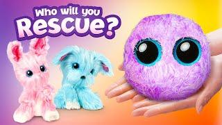 Pick Your New Pet And Rescue It! || Reveal Your New Fluffy SCRUFF-A-LUV