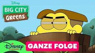 Beton-Dschungel - Ganze Folge | Big City Greens