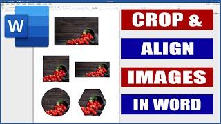How to Crop and Align Images in Word | Microsoft Word Tutorials
