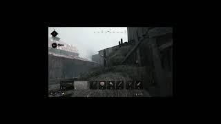 Crack Shot OP  Hunt Showdown 1896