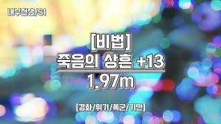 [비법/주문술사] +13 죽음의 상흔 1.97m / v11.0.5