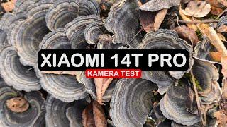 Xiaomi 14T Pro Kamera Test