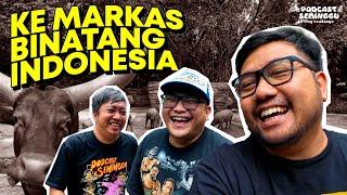 Ke Markas Binatang Indonesia