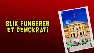 Hvordan fungerer et demokrati?