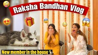 SURPRISING MY SISTER WITH A NEW DOG | On this Rakhi *reaction Vlog* |