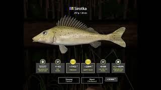 Russian Fishing 4 Donets Ruffe TROPHY  Sirotka - Winding Rivulet