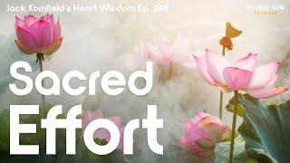 Jack Kornfield on Sacred Effort - Heart Wisdom Ep. 248