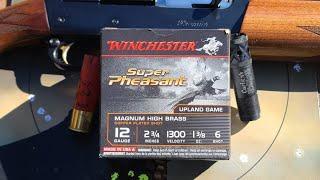 Pheasant Load For Turkeys? Winchester Super Pheasant 2-3/4" 1-3/8oz #6 W/ 11-87 & LBXR .660 Choke
