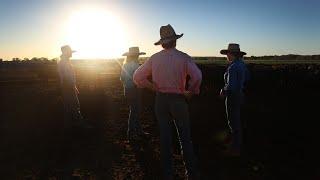 Farmers protest against government ban on live sheep exports