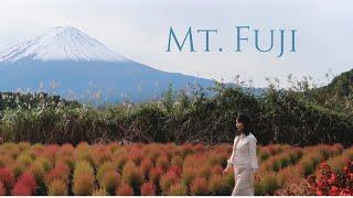 Mt. Fuji - The Soul of Japan | Japan Travel | 富士山