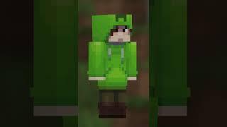 All Of My MC Skins Edit  #edit #minecraft #minecrftshorts #OdwarEdits