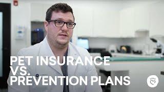 Pet Insurance vs. Prevention Plans: The Difference