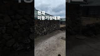 제주도 시골집 매매 1억2천